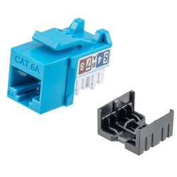 超6类RJ45 Keystone插座，IDC 110 90度冲压式，UTP（非屏蔽双绞线），蓝色的图片