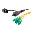 IP68 ODVA 兼容 MPO APC 母头到 LC APC 扇出，12 芯光纤，SM OS2 5mm LSZH 户外级，5M 光缆组件的图片