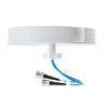 698-960 MHz / 1710-2700 MHz / 3400-4200 MHz低PIM级室内VH-pol全向天线，3-5 dBi，吸顶安装，2 x 4.3-10母连接器的图片