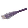 特优型超5类跳线，RJ45/RJ45，紫，1英尺（0.3米）的图片